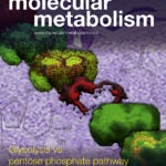 Molecular Metabolism vol 12 Cover page