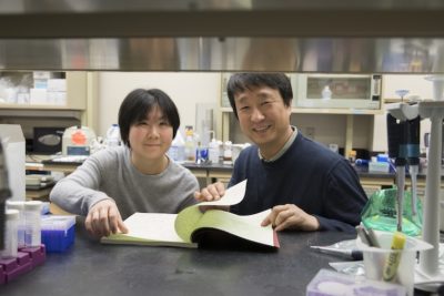 Shin Lab Research
