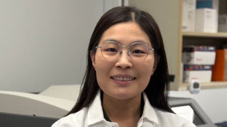 Lulu Jiang