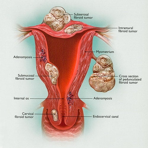 Medical image