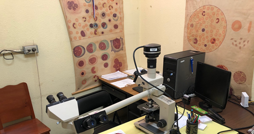 Multi-headed microscope