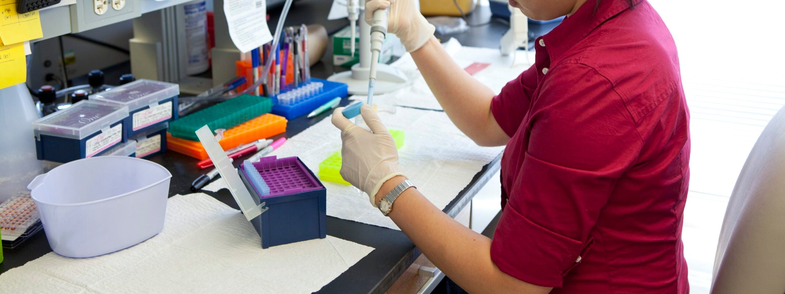 Lab technician wearing a pink shirt uses a pipette to transfer liquid