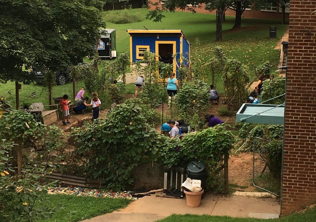The MPH program performing service at a local schoolyard garden.