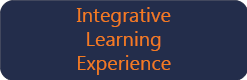 Integrative Learning Experience Button
