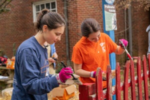 UVA PHS students volunteer in the community garden.