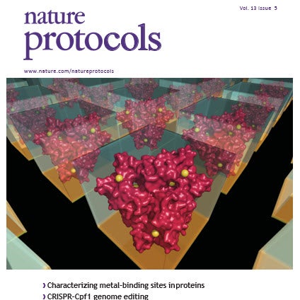 Minor Lab's publication has been featured on the cover of Nature Protocols!  | Molecular Physiology and Biological Physics