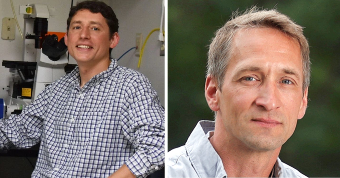 Dr. Jochen Zimmer-Dr. Ilya Leventa