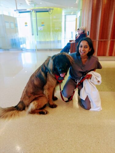 UVA Radiology IR resident Dhara Kinariwala, MD, poses with a UVA therapy dog