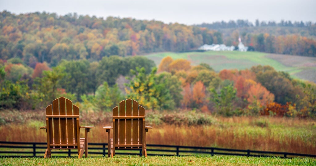 Empty wooden chairs in autumn fall foliage season countryside at winery