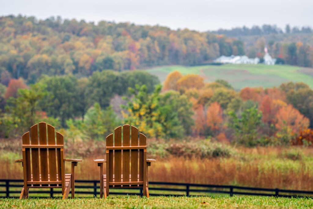 Empty wooden chairs in autumn fall foliage season countryside at winery