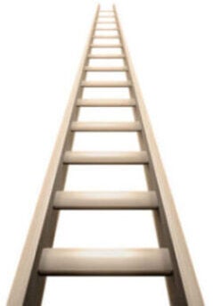 UVA Radiology image of a ladder