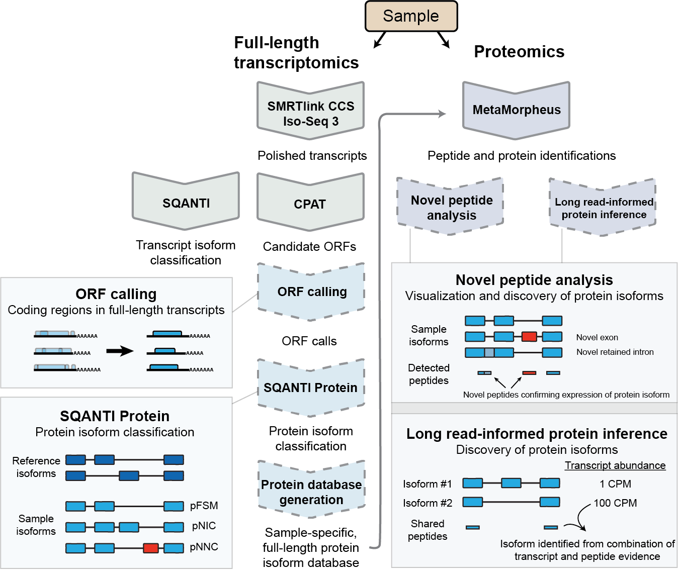 LRP pipeline