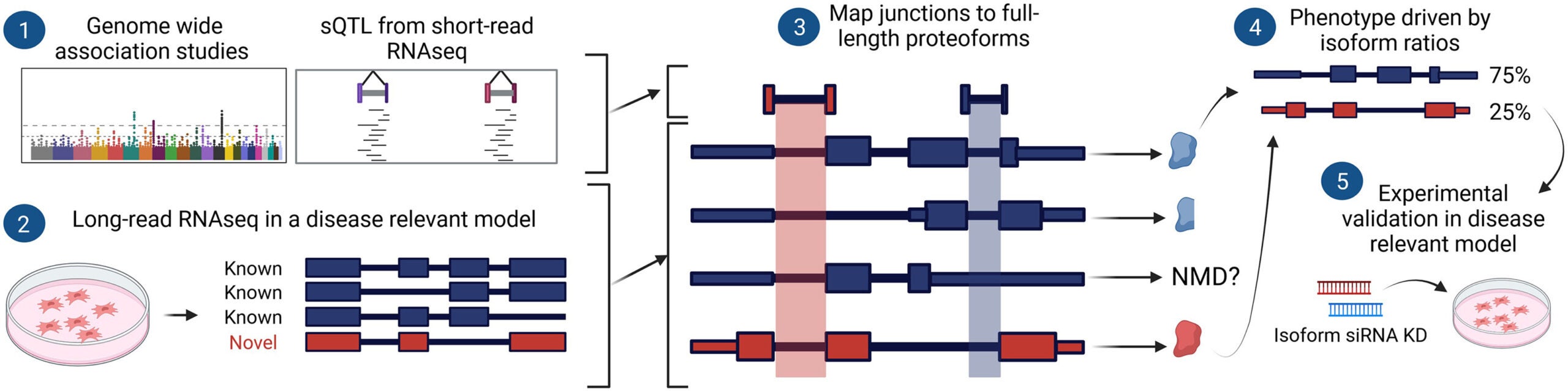 Abood et al. 2024 Figure 1