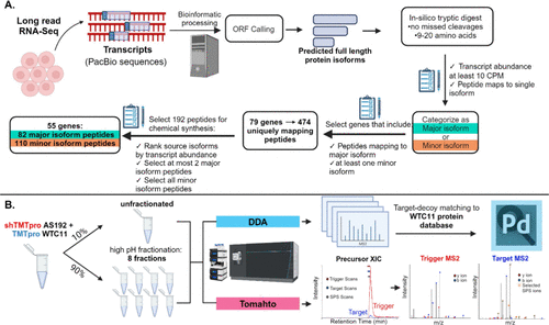 Alternative Proteome Detection Figure