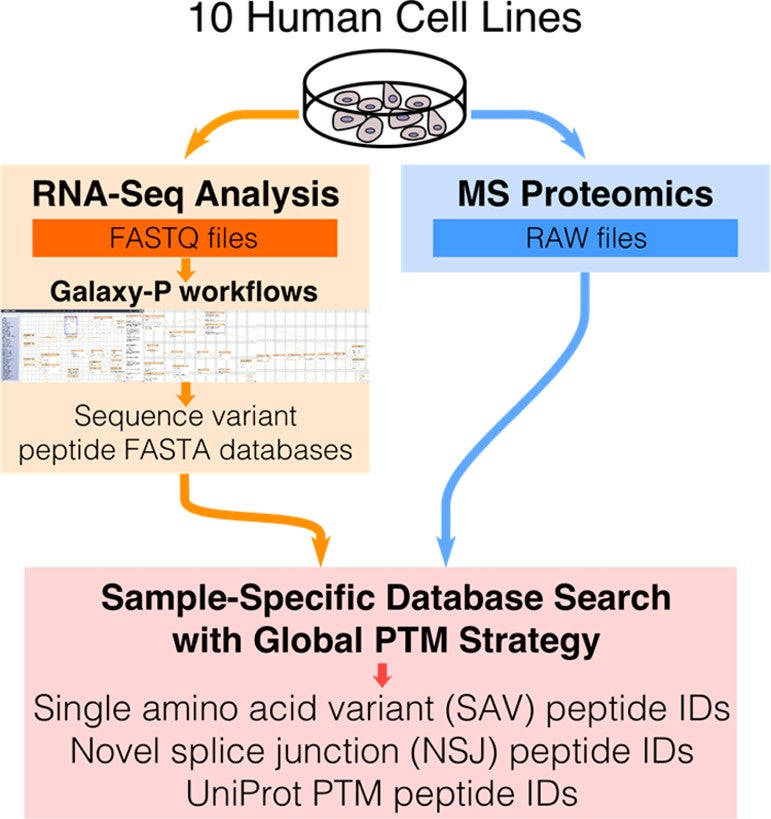Cesnik et al. 2015 Fig 1