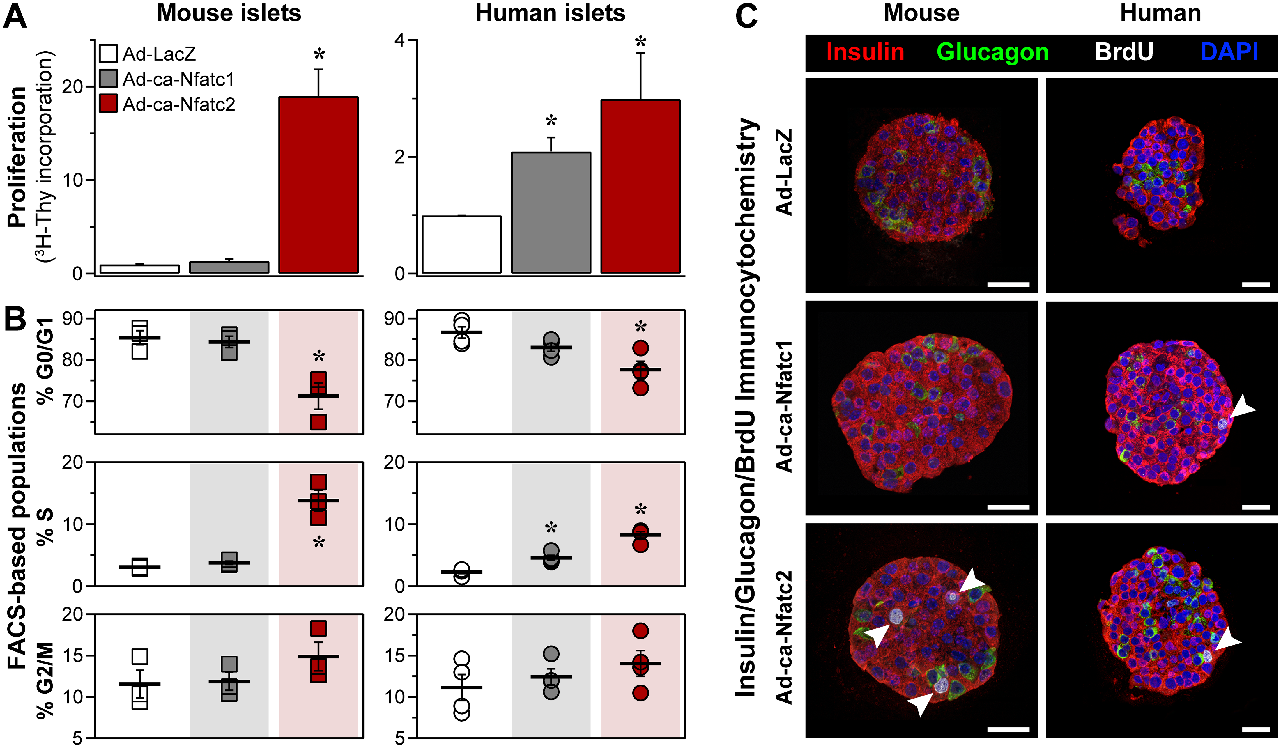 Keller et al. 2016 Figure 2