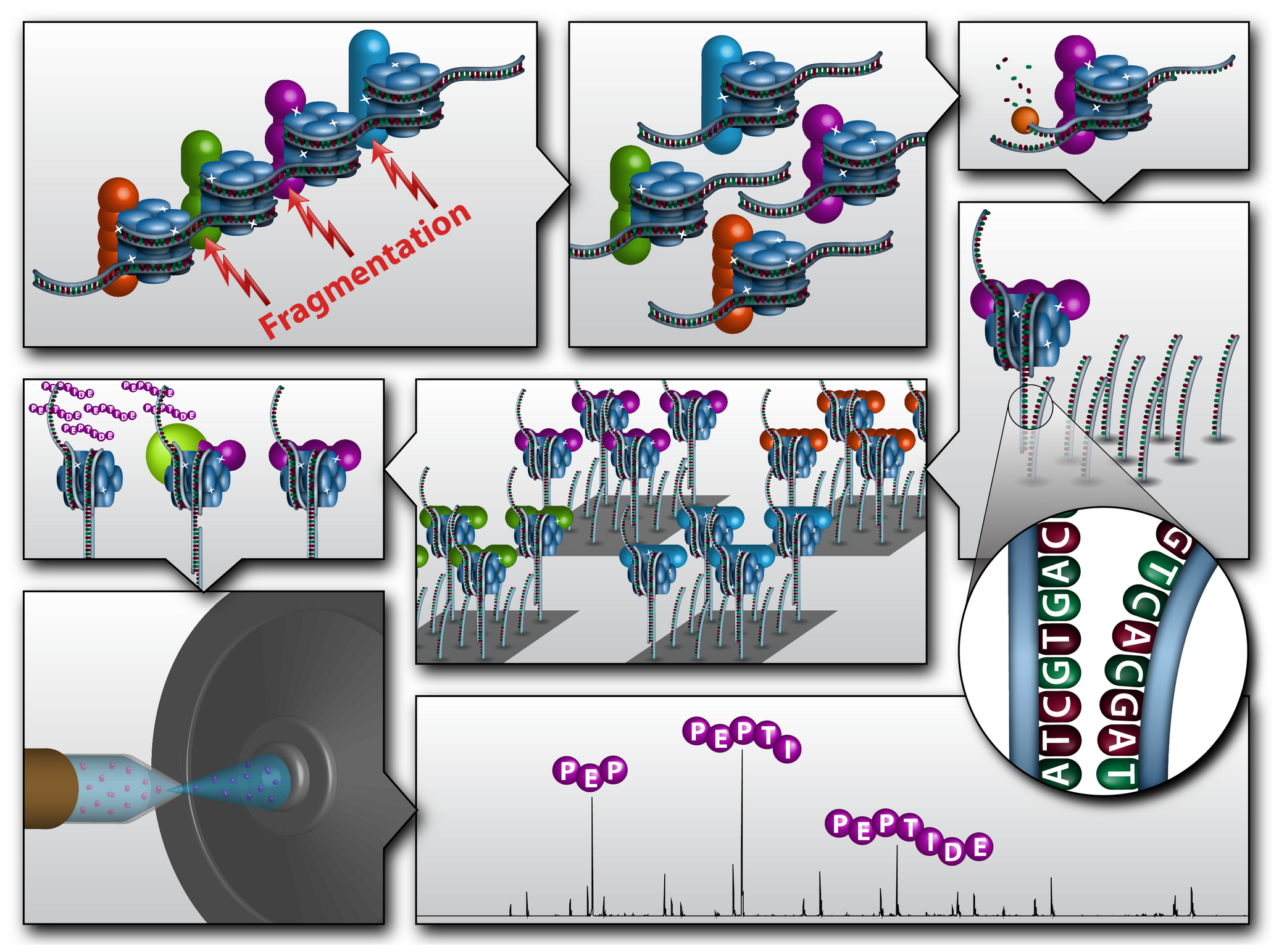 Wu et al. 2011 Figure 1