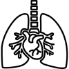 Heart and lung icon