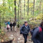students hiking 4