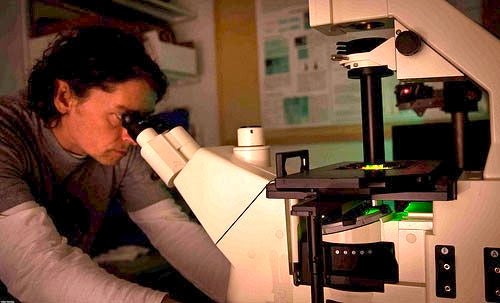 A lab member using a microscope