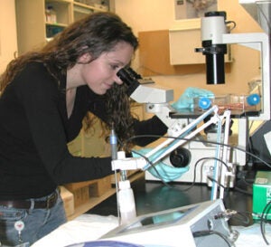 Vanessa at inverted microscope