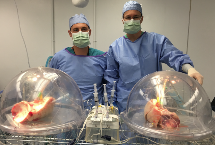Surgeons with EVLP