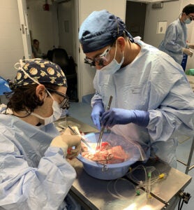 Surgery training