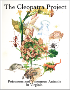 book cover with animal and insect drawings