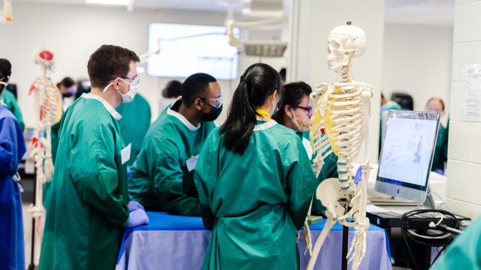 Anatomy Curriculum MD Curriculum