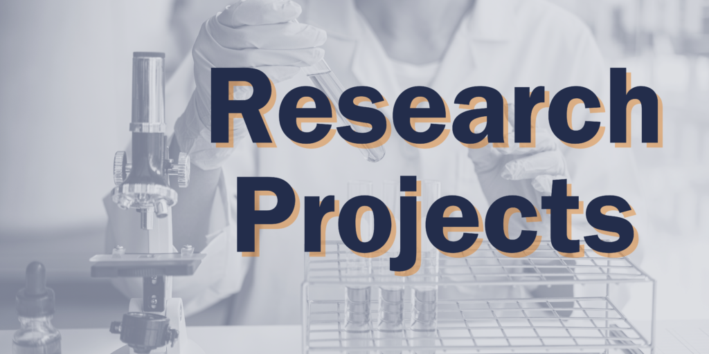 Research Projects