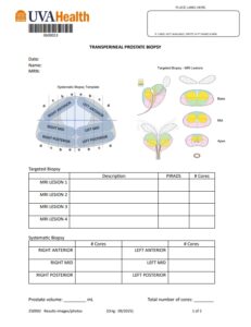 noopener TP Biopsy Screenshot