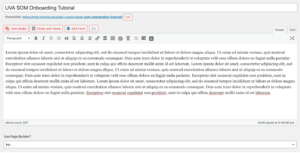 Text editor when page builder is turned off