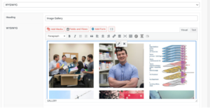 select the pencil tool after clicking on any of the images in the gallery to edit the gallery